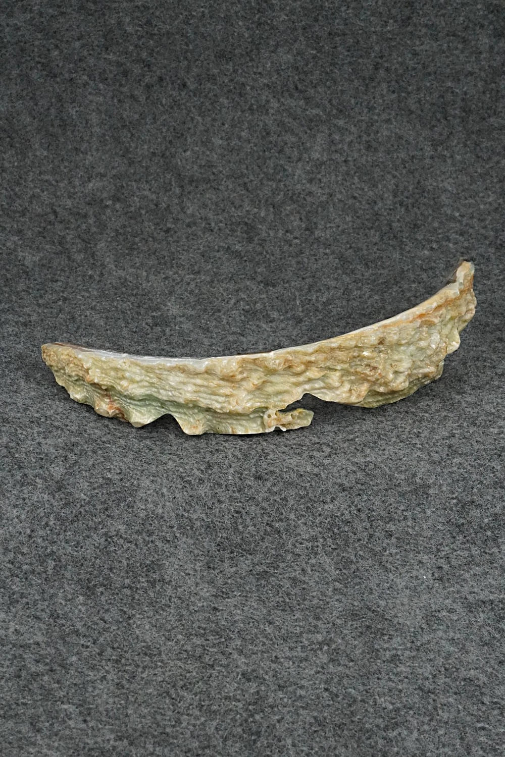 Bear Zuni Fetish Carving - Bernard Laiwekete