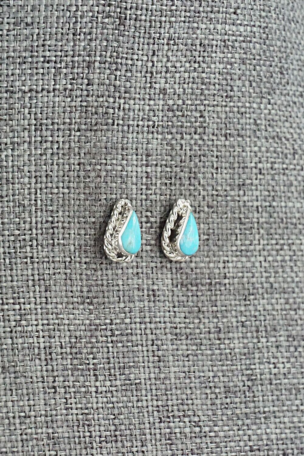 Turquoise & Sterling Silver Earrings - Gina Dosedo