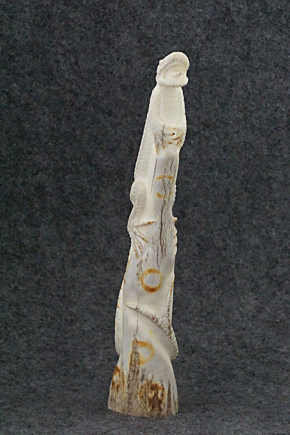 Lizard Zuni Fetish Carving - Maxx Laate