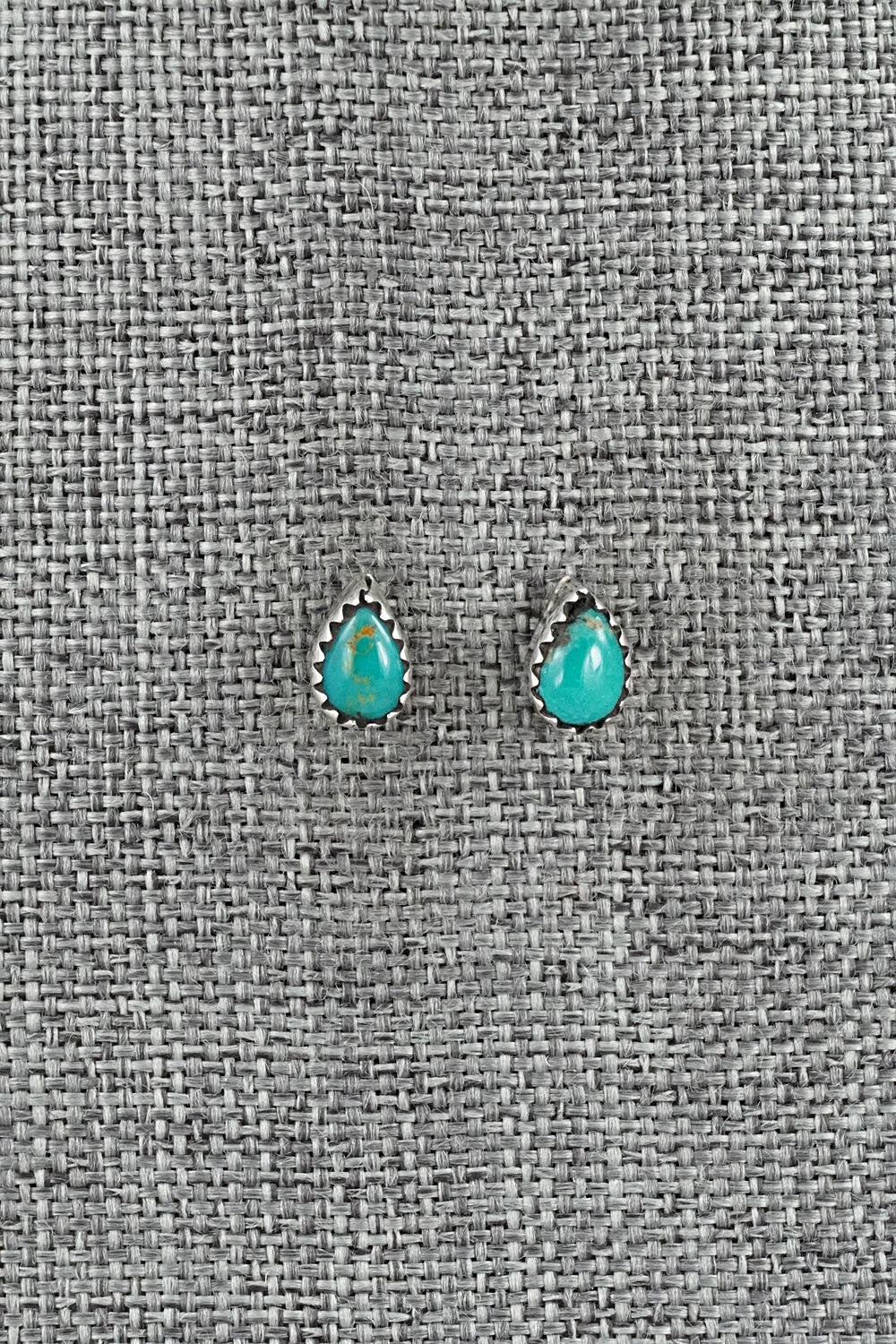 Turquoise & Sterling Silver Earrings - Gerald Joe