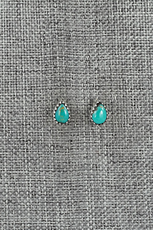Turquoise & Sterling Silver Earrings - Gerald Joe