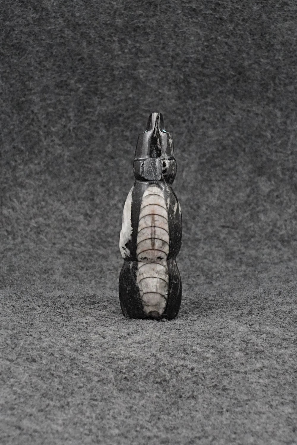 Bear Zuni Fetish Carving - Kenric Laiwakete