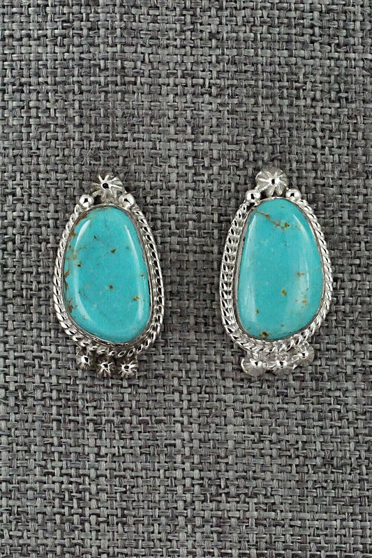 Turquoise and Sterling Silver Earrings - Sharon McCarthy