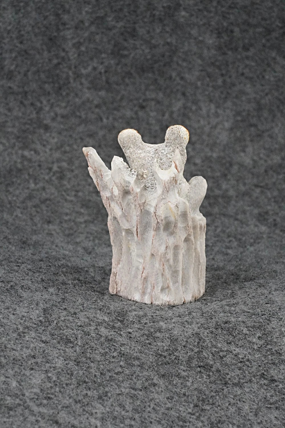Bear Zuni Fetish Carving - Ruben Najera