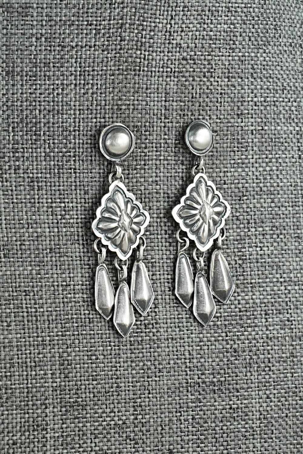 Sterling Silver Earrings - Terry Charlie
