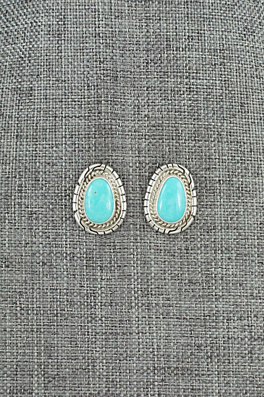 Turquoise & Sterling Silver Earrings - Peggy Skeets