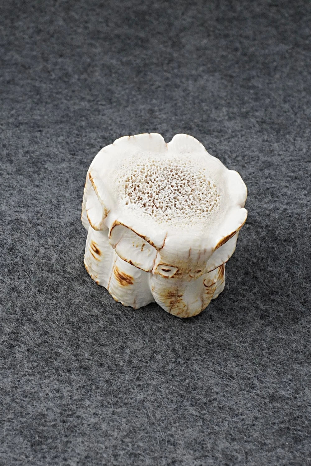 Elephant Zuni Fetish Carving - Maxx Laate