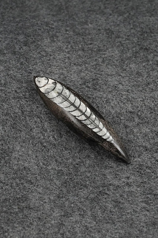 Mole Zuni Fetish Carving - Abby Quam Panteah