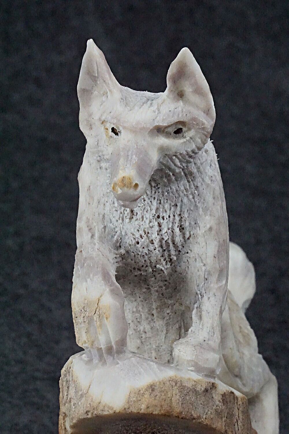 Wolf Zuni Fetish Carving - Lewis Malie Jr.
