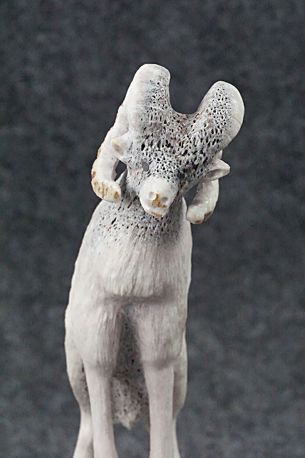 Ram Zuni Fetish Carving - Maxx Laate