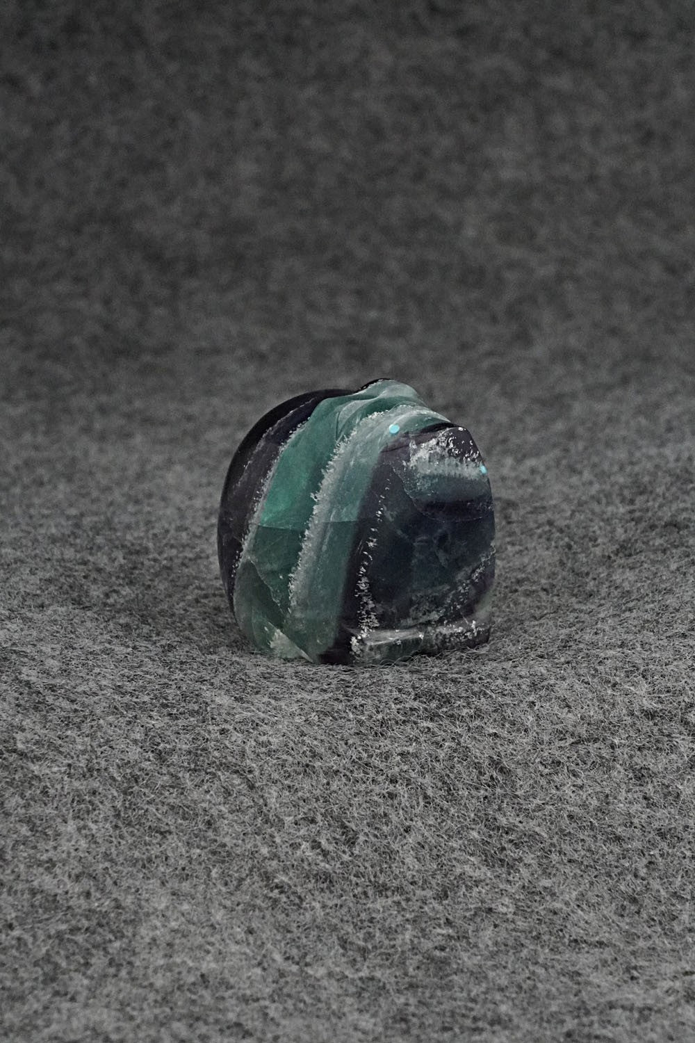 Bear Zuni Fetish Carving - Abby Quam Panteah