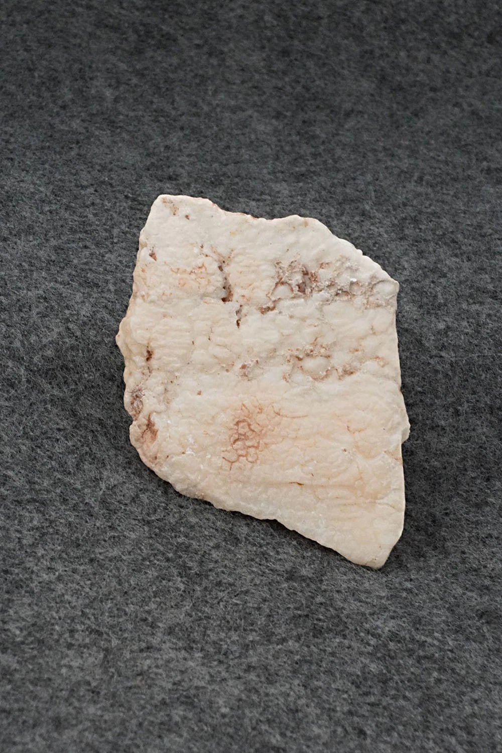 Badger Navajo Fetish Carving - Ron Goodluck