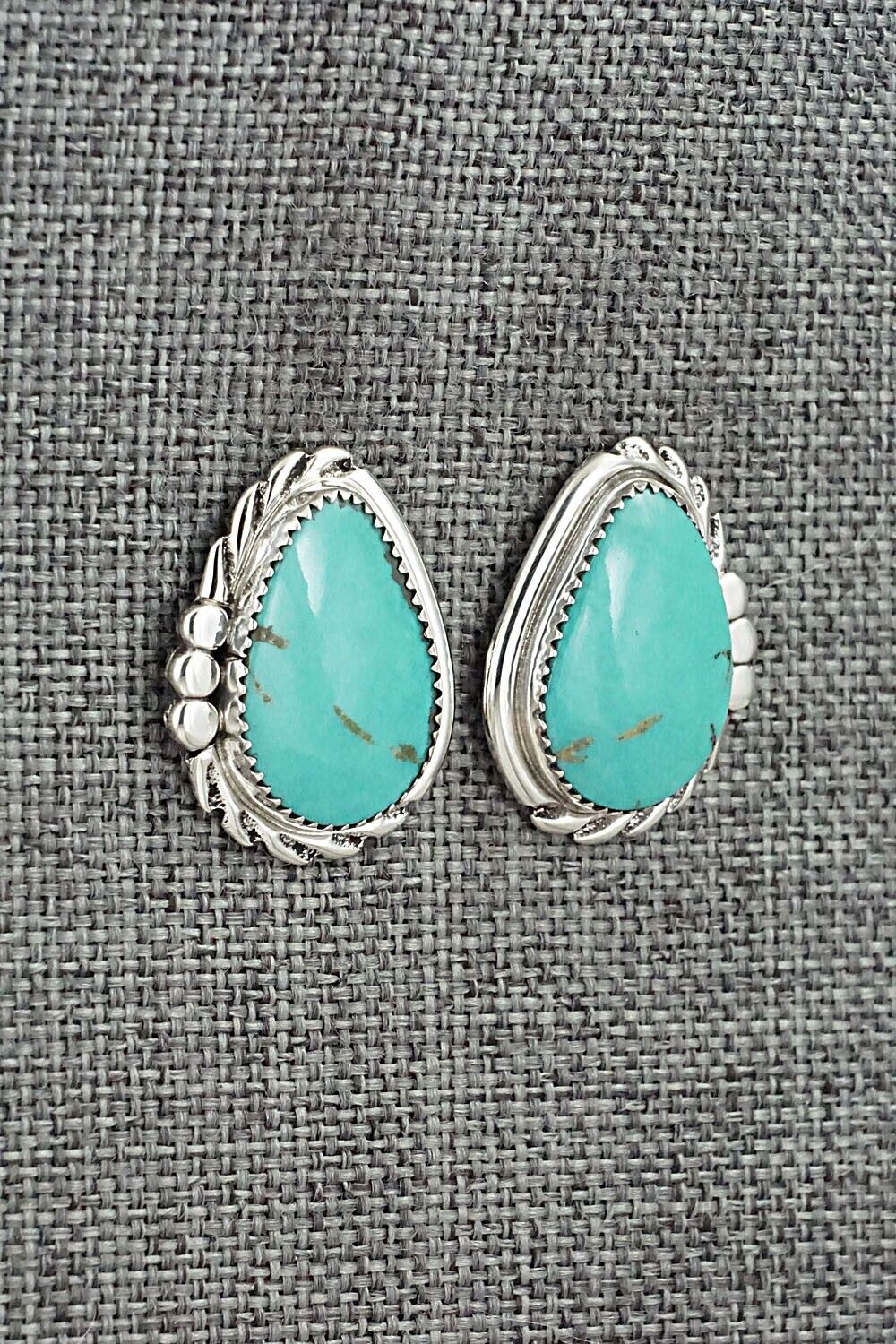 Turquoise and Sterling Silver Earrings - Delores Cadman