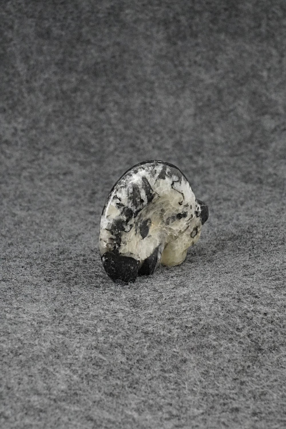 Bear Zuni Fetish Carving - Kenric Laiwekete