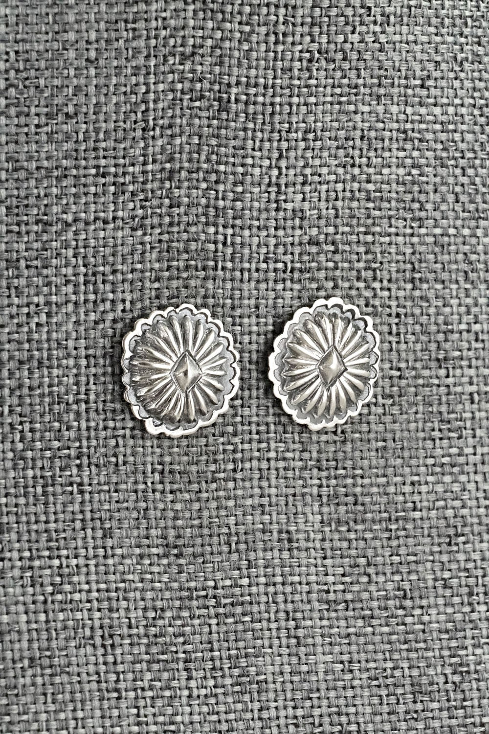 Sterling Silver Earrings - Terry Charlie