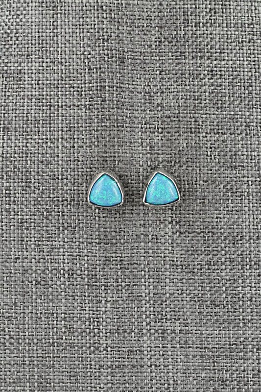 Opalite & Sterling Silver Earrings - Gerald Joe