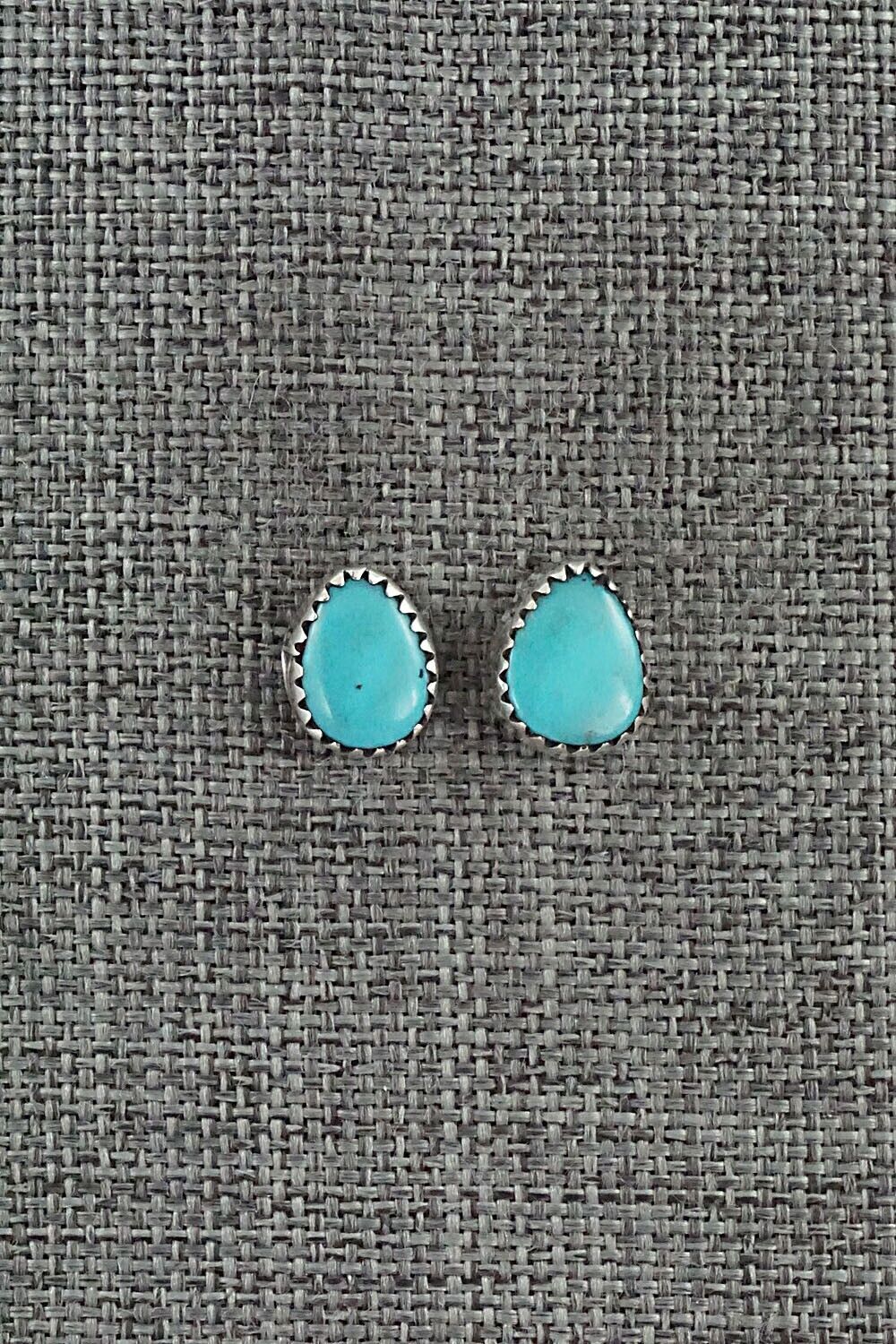 Turquoise & Sterling Silver Earrings - Theresa Smith