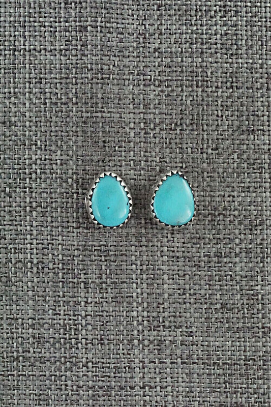 Turquoise & Sterling Silver Earrings - Theresa Smith
