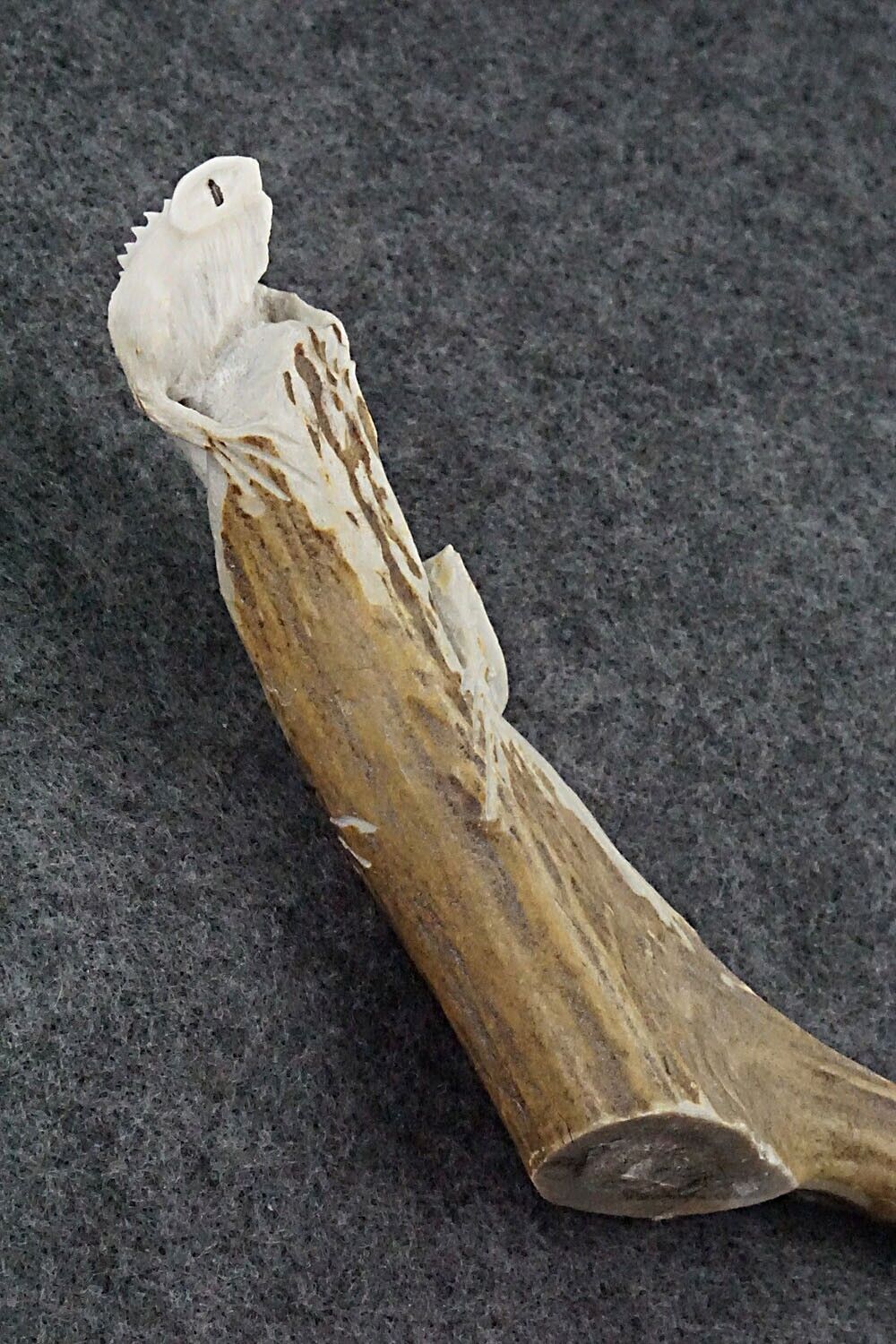 Iguana Zuni Fetish Carving - Lewis Malie Jr.