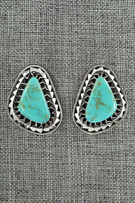 Turquoise and Sterling Silver Earrings - Sharon McCarthy