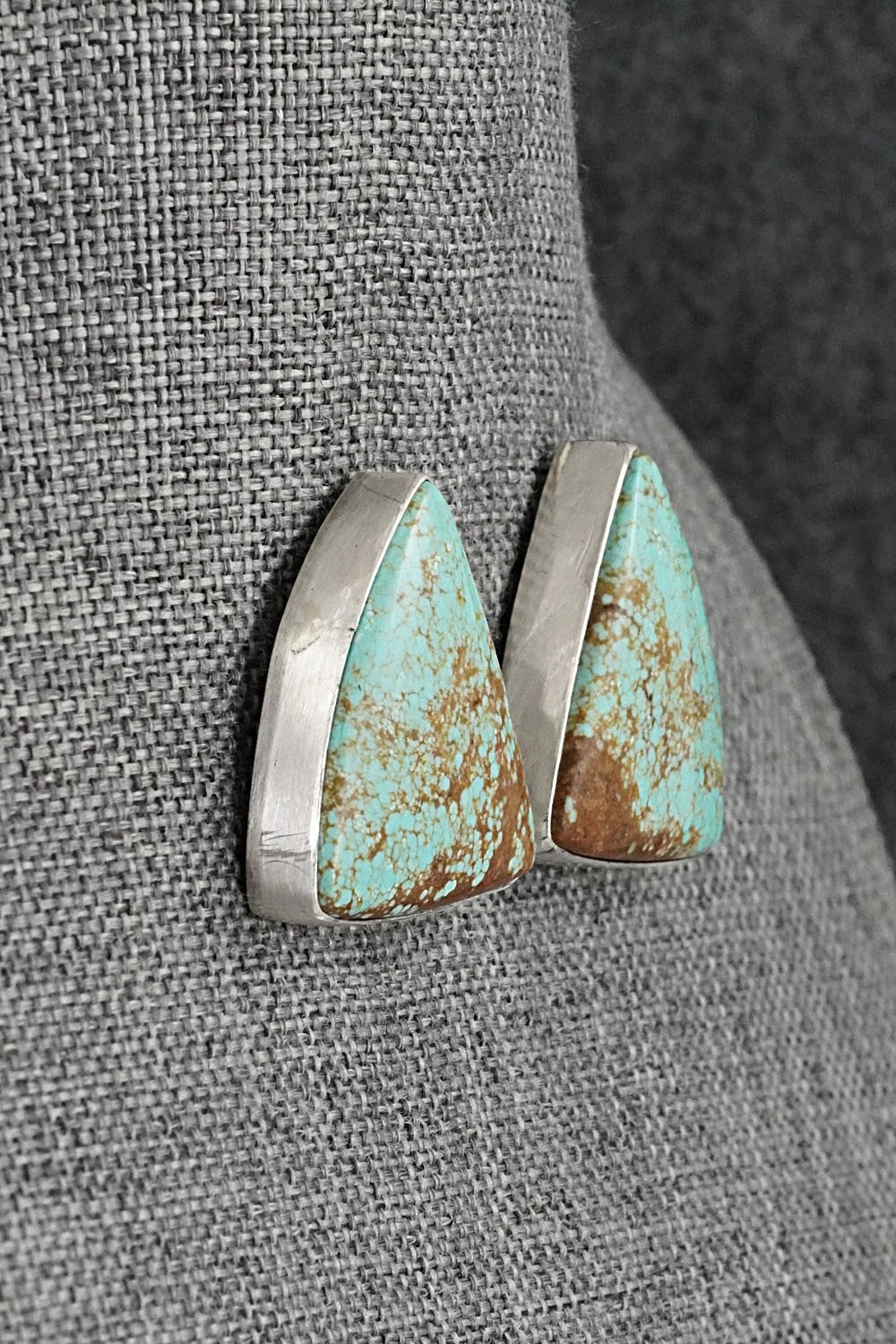 Turquoise & Sterling Silver Necklace and Earrings Set - Darrin Livingston