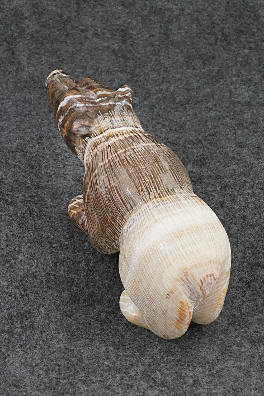 Bear Zuni Fetish Carving - Nelson Yatsattie
