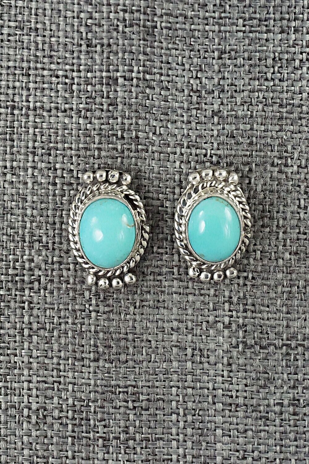 Turquoise & Sterling Silver Earrings - Jan Mariano