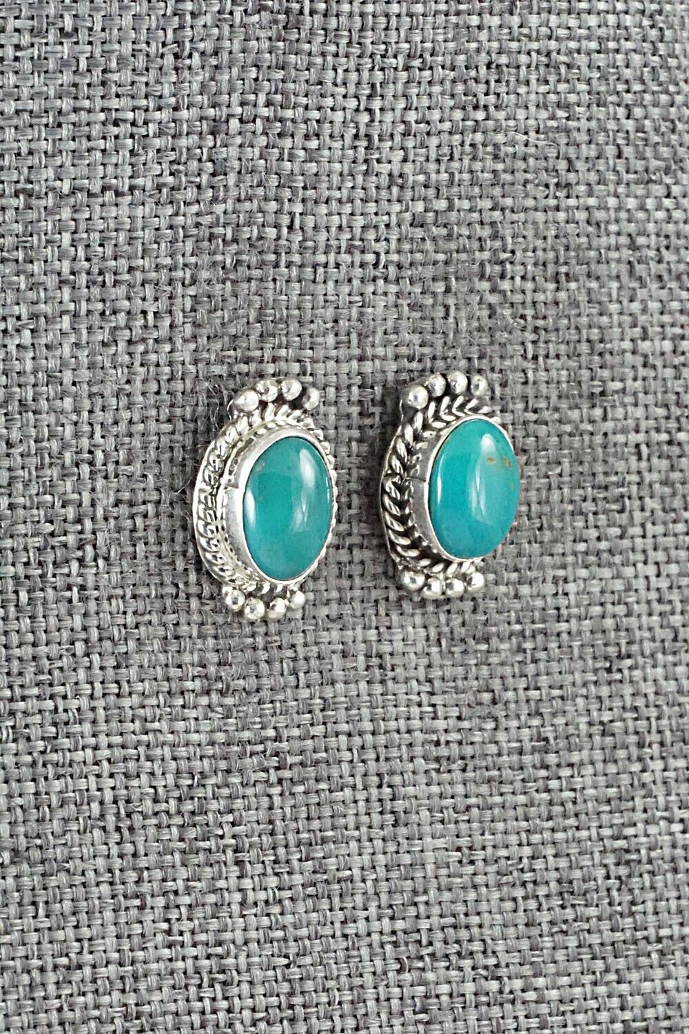 Turquoise & Sterling Silver Earrings - Jan Mariano