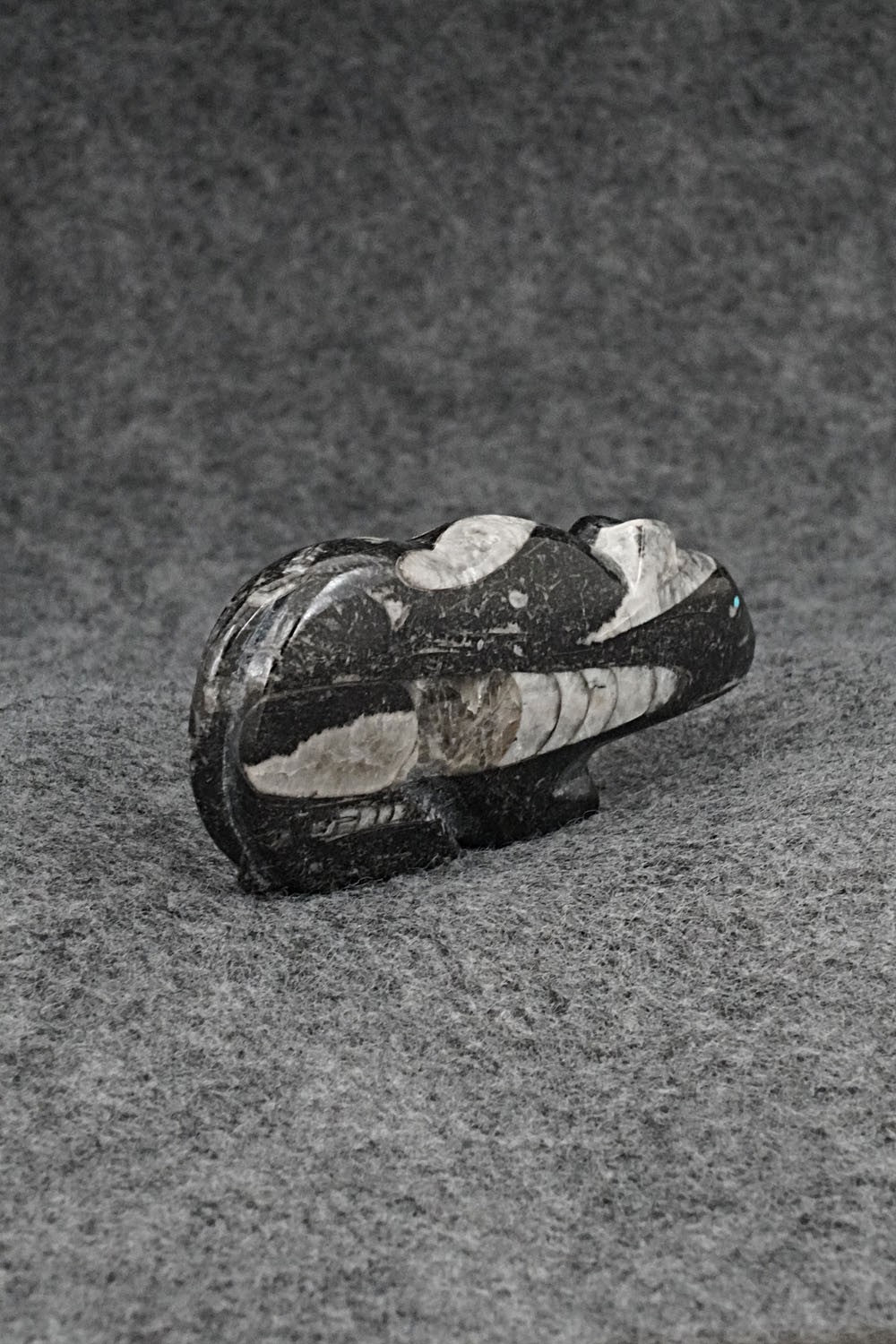 Mountain Lion Zuni Fetish Carving - Abby Quam Panteah