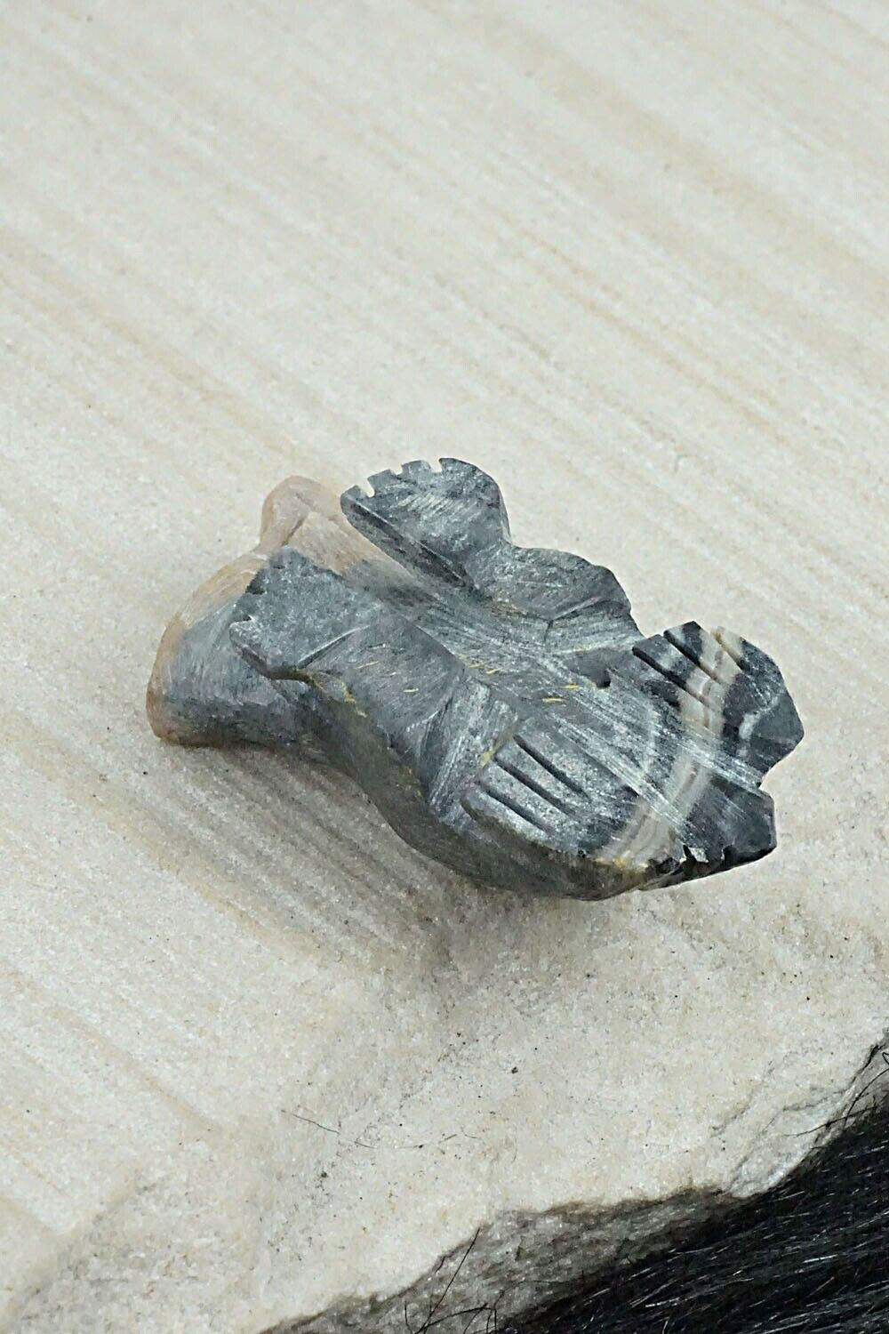 Badger Zuni Fetish Carving - Dana Malani