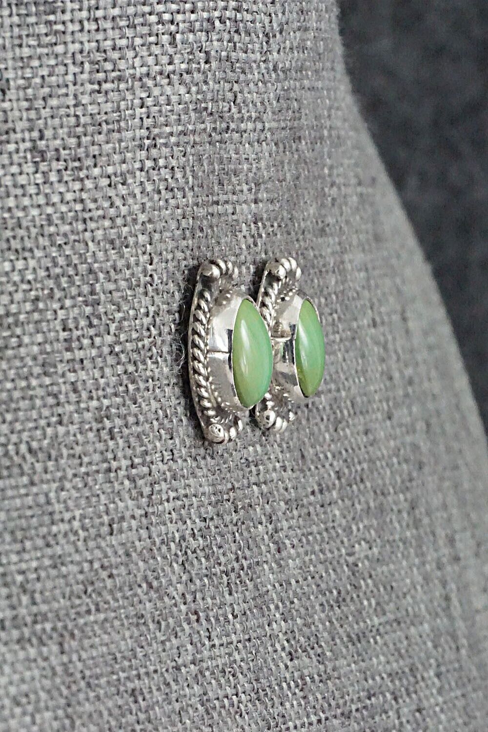 Turquoise & Sterling Silver Earrings - Jan Mariano