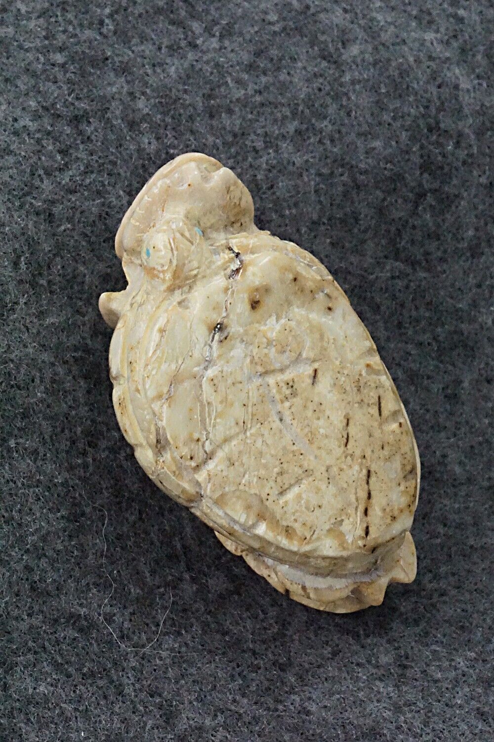 Turtles Zuni Fetish Carving - Ariane Quam
