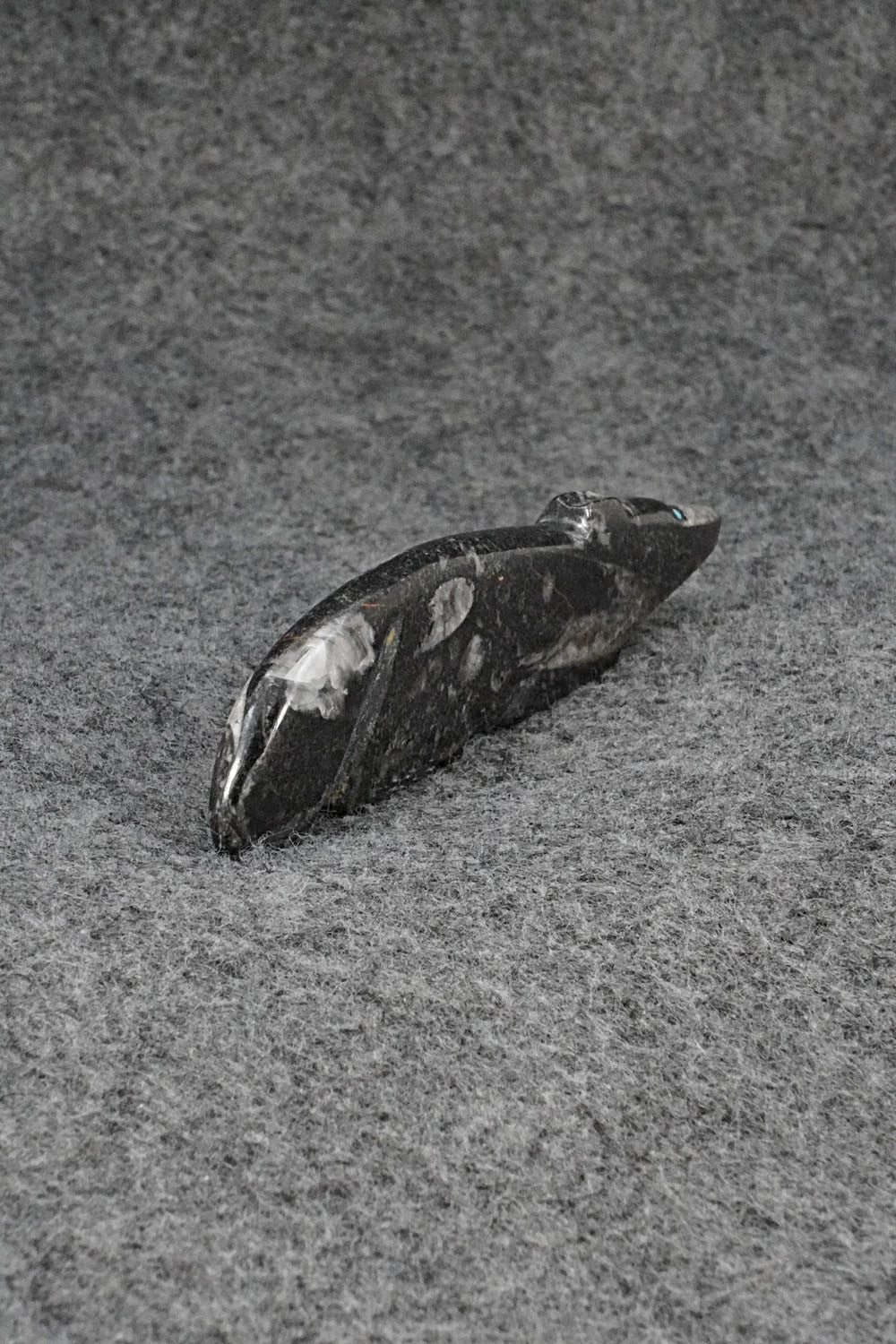 Wolf Zuni Fetish Carving - Abby Quam Panteah