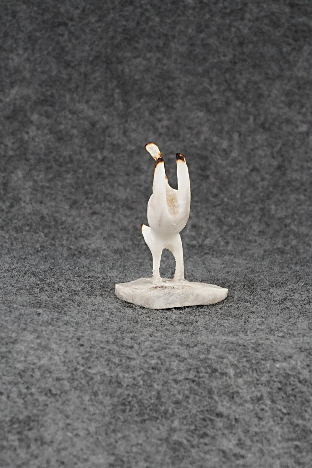 Cat Zuni Fetish Carving - Ruben Najera