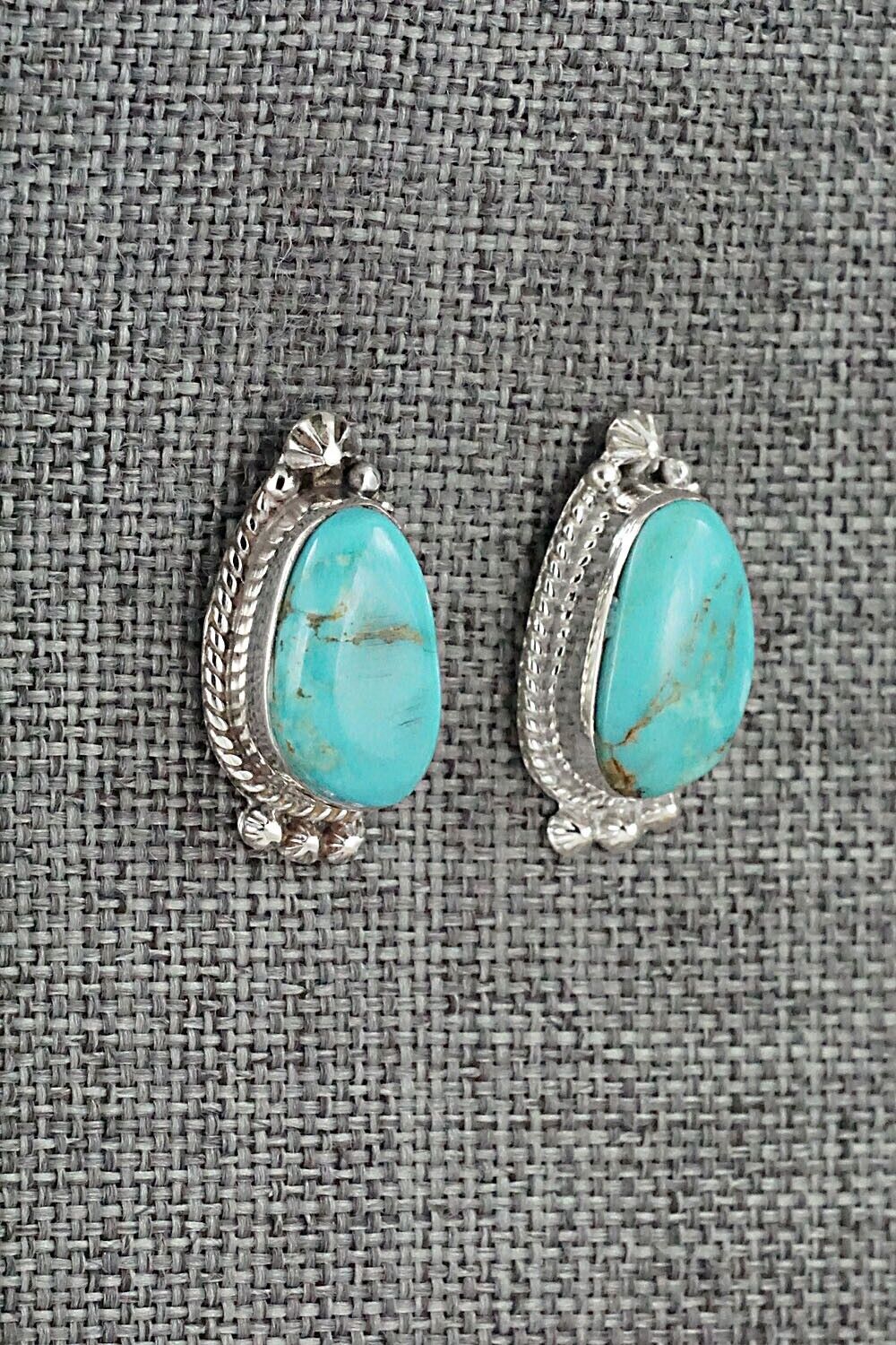 Turquoise and Sterling Silver Earrings - Sharon McCarthy