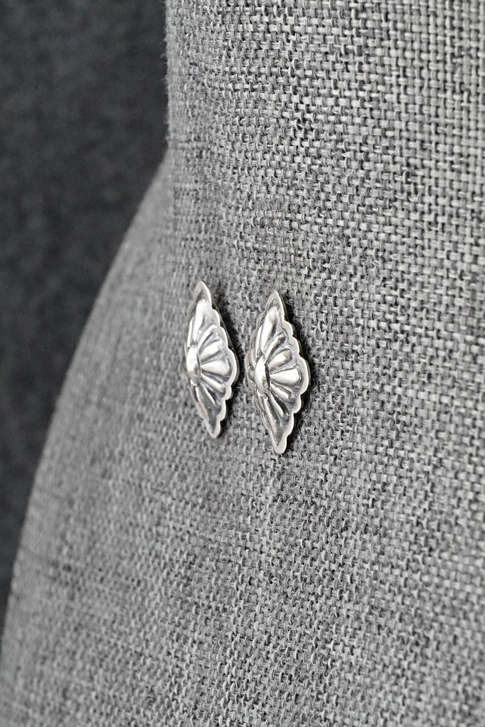 Sterling Silver Earrings - Terry Charlie