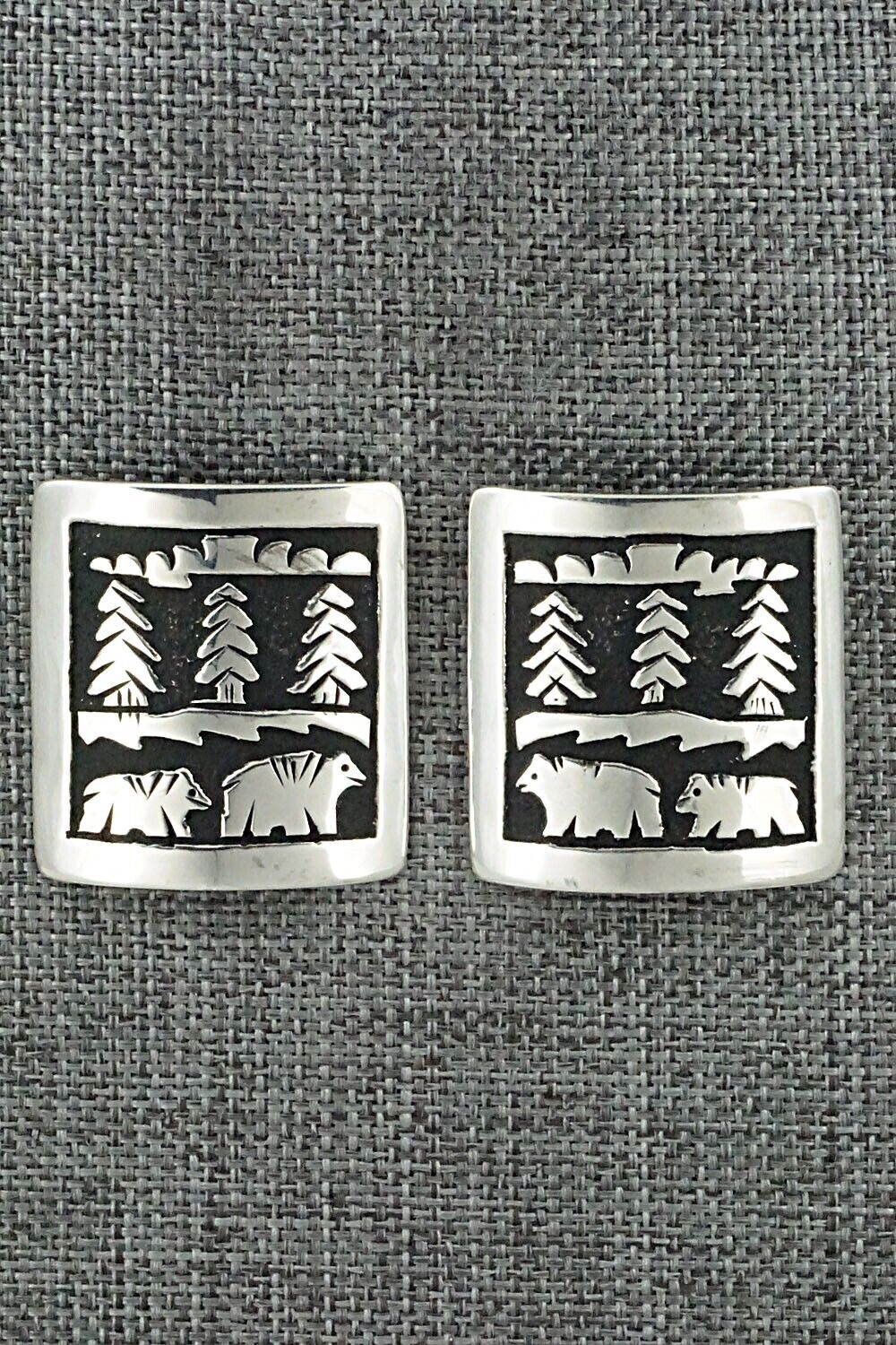 Sterling Silver Earrings - Thomas Singer