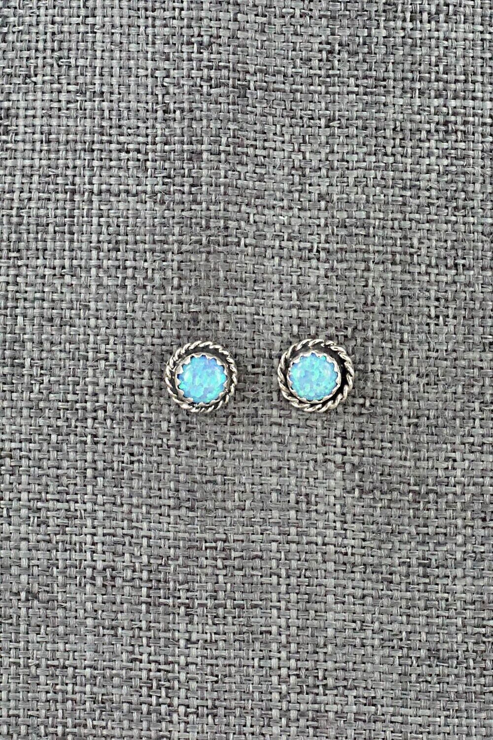 Opalite & Sterling Silver Earrings - Esther White