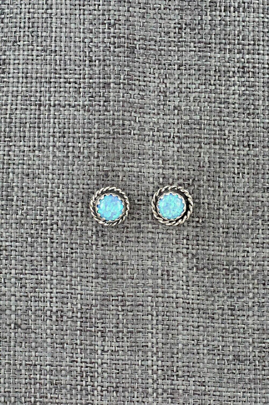 Opalite & Sterling Silver Earrings - Esther White