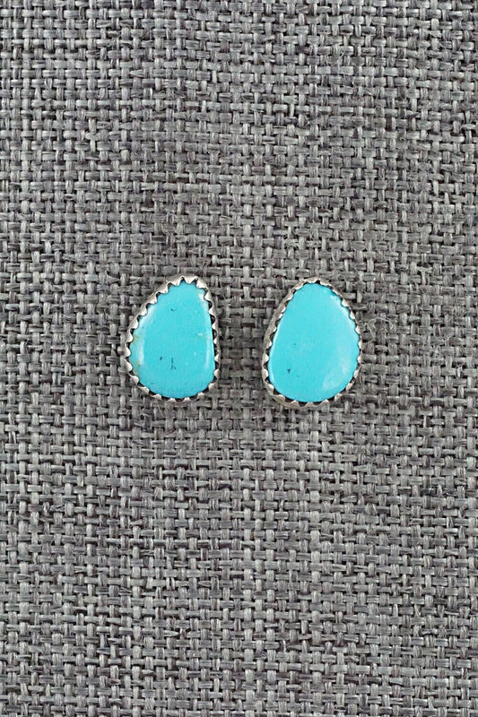 Turquoise & Sterling Silver Earrings - Annie Spencer
