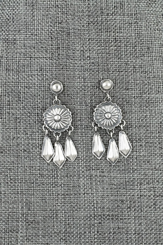 Sterling Silver Earrings - Terry Charlie