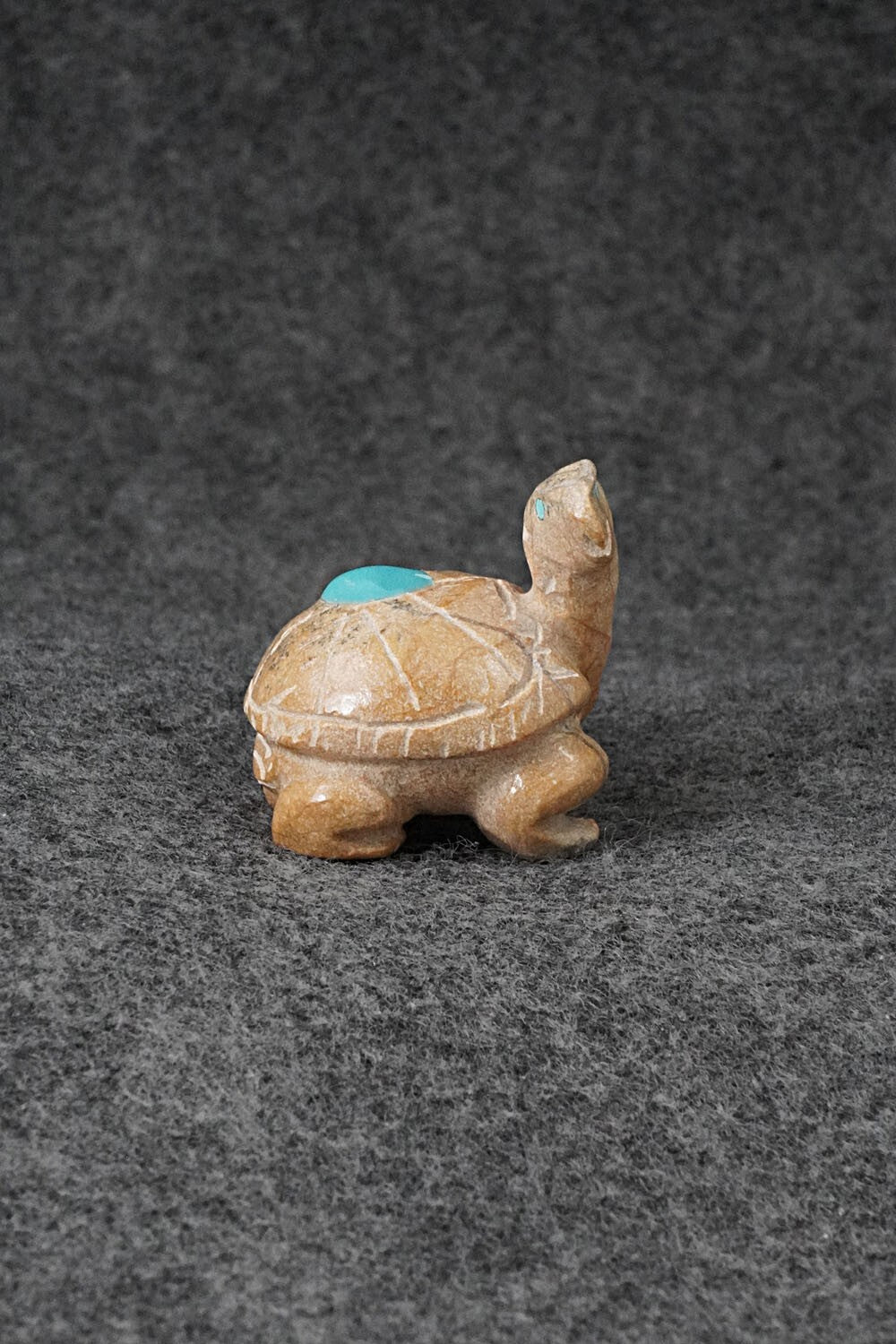 Turtle Zuni Fetish Carving - Freddie Leekya