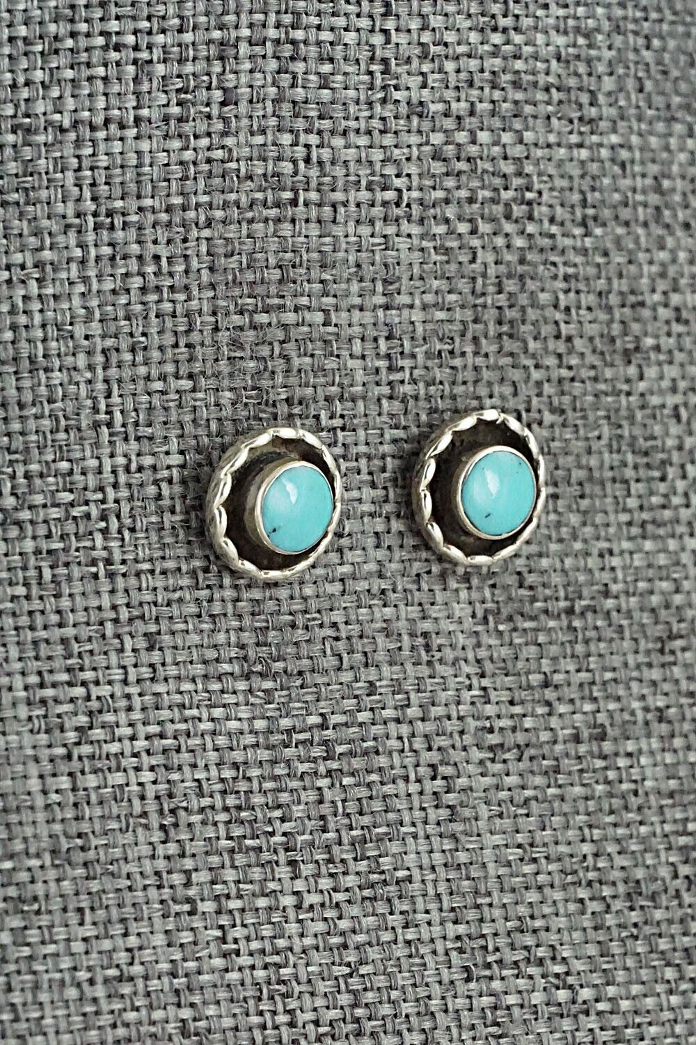 Turquoise & Sterling Silver Earrings - Carina Leekity