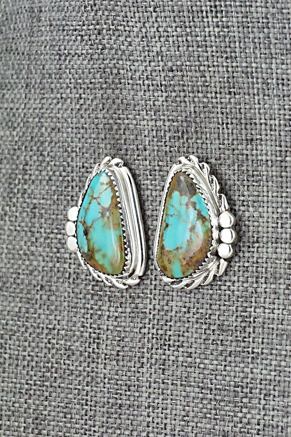 Turquoise and Sterling Silver Earrings - Delores Cadman
