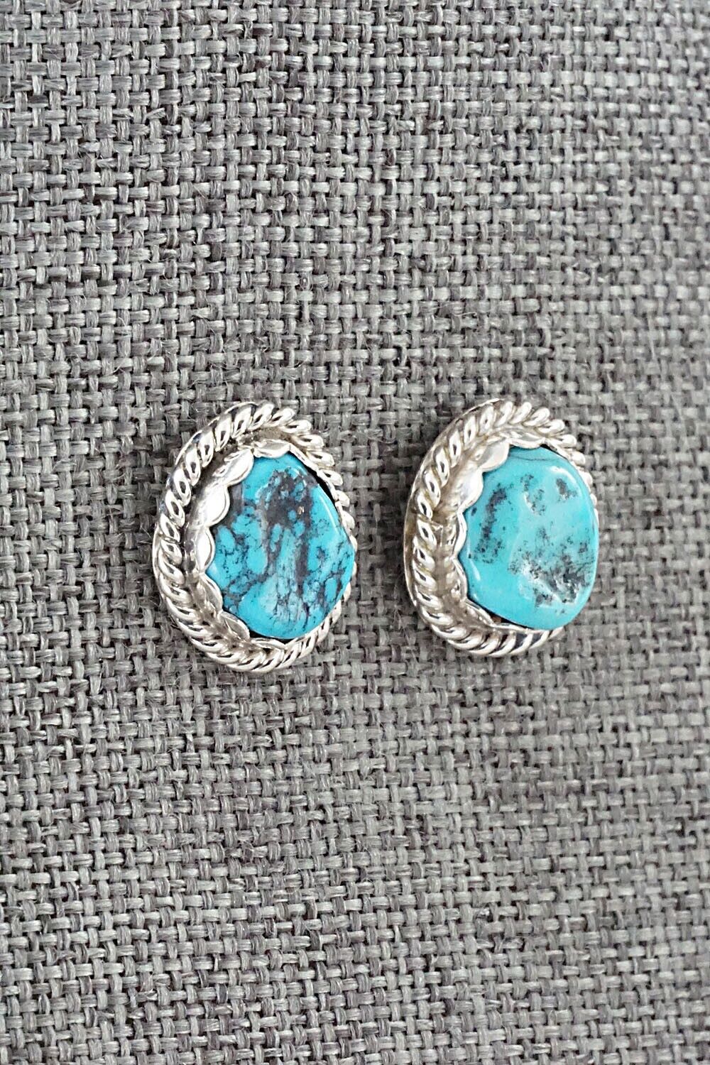 Turquoise & Sterling Silver Earrings - Isabelle John