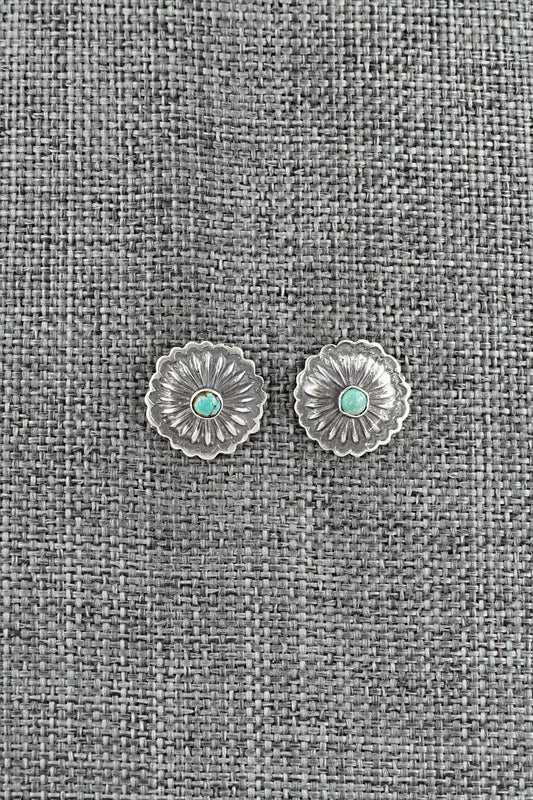 Turquoise & Sterling Silver Earrings - Terry Charlie