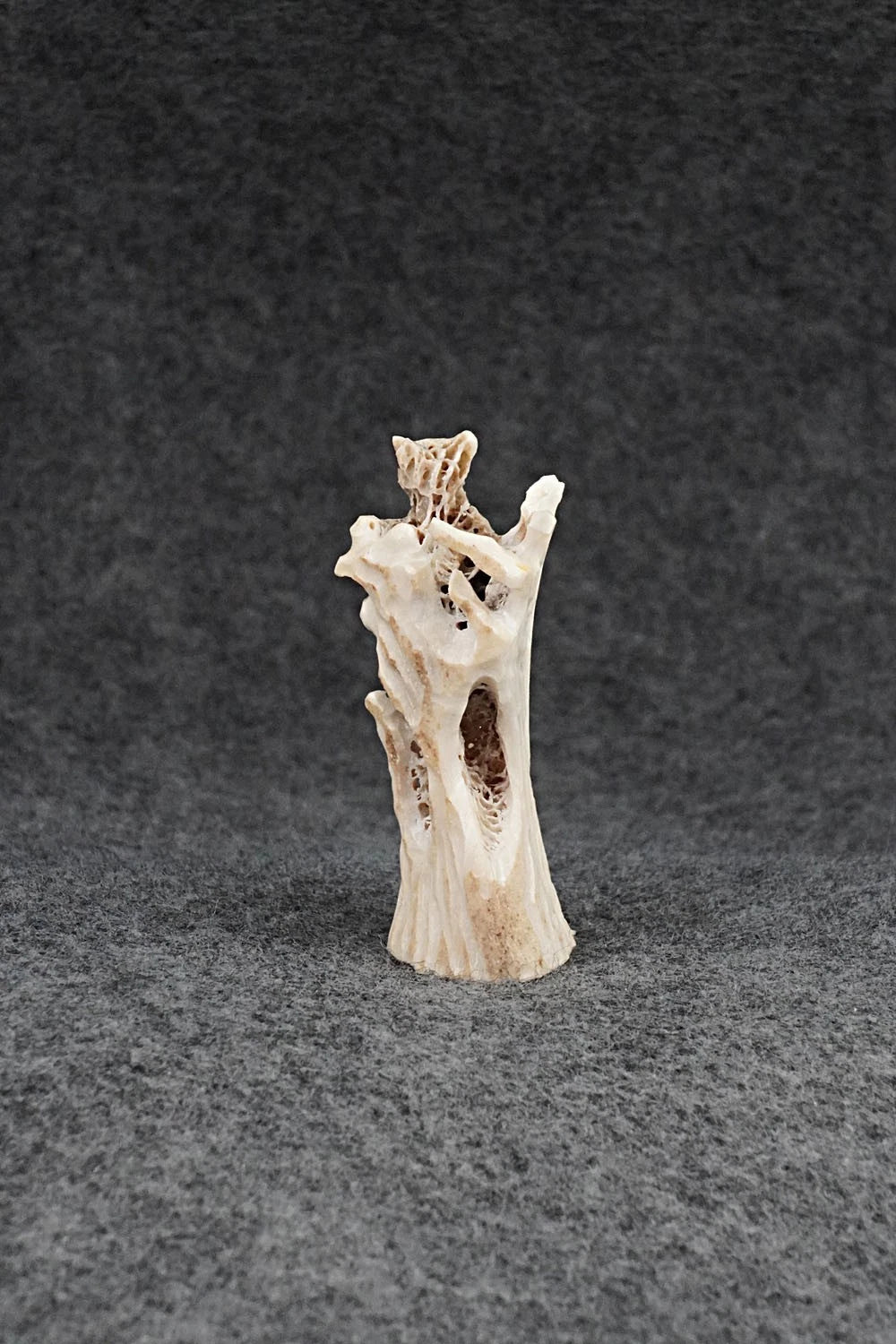 Bear Zuni Fetish Carving - Ruben Najera