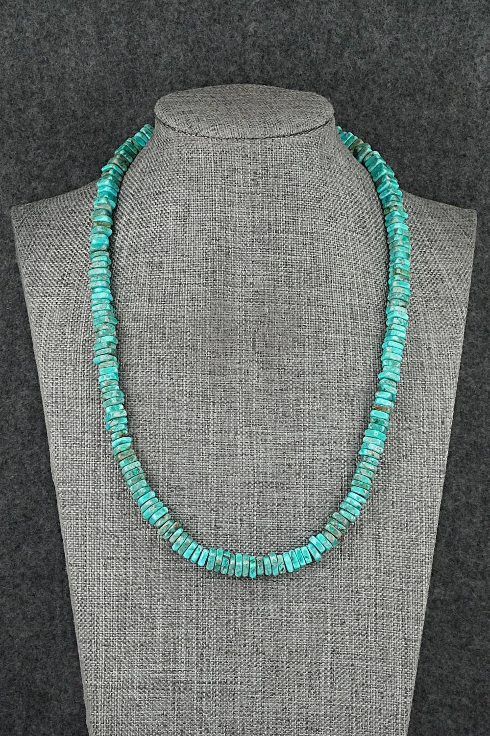 Turquoise & Sterling Silver Necklace 18" - Doreen Jake