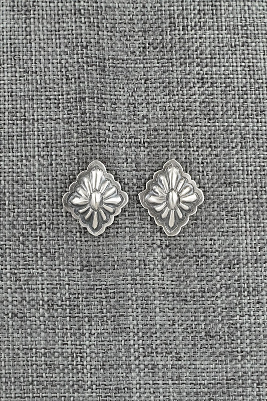Sterling Silver Earrings - Terry Charlie