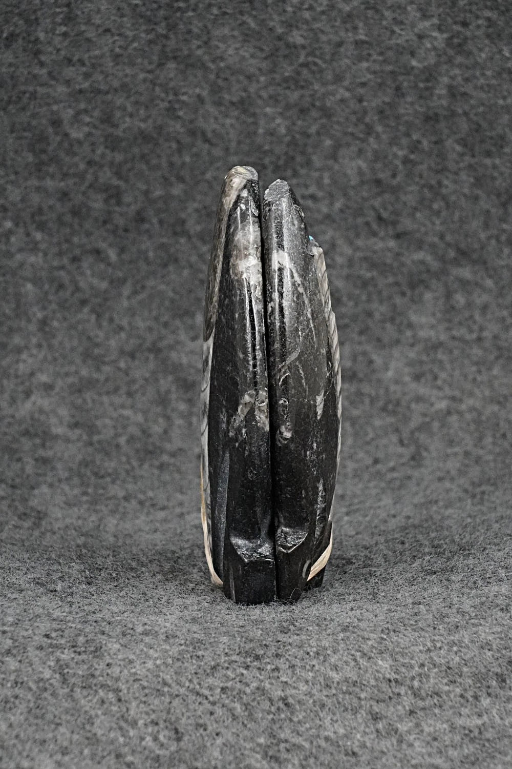 Wolf Zuni Fetish Carving - Todd Etsate